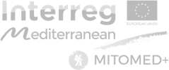 13. Logo MITOMED